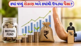 મ્યુચ્યુઅલ ફંડમાં 'ખરો ખેલ'! SIP અને Gold ETF ના આંકડાએ મચાવી હલચલ
