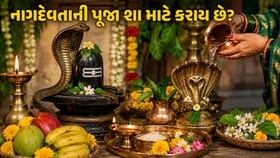 નાગ પંચમીના દિવસે નાગદેવતાની પૂજા શા માટે કરવામાં આવે છે?
