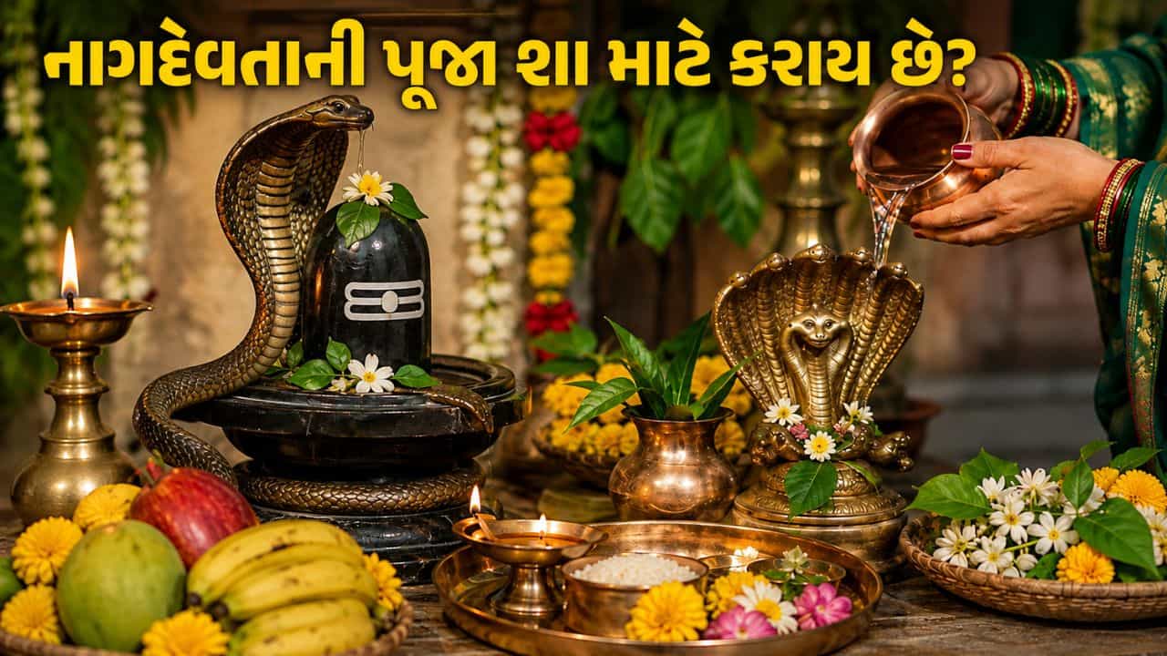 Nag Panchami 2026: નાગ પંચમીના દિવસે નાગદેવતાની પૂજા શા માટે કરવામાં આવે છે? જાણો પૂજાની વિધિ અને શુભ મુહૂર્ત