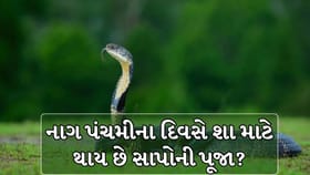 નાગ પંચમી પર શા માટે થાય છે નાગ દેવતાની પૂજા? જાણો કારણ