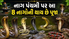 નાગ પંચમી પર પૂજાતા 8 દિવ્ય નાગ અને તેમના અદ્ભુત રહસ્યો જાણો !