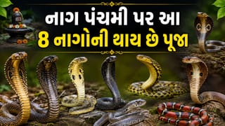 શેષનાગથી લઈને વાસુકી સુધી, નાગ પંચમી પર પૂજાતા 8 દિવ્ય નાગ અને તેમના અદ્ભુત રહસ્યો જાણો !