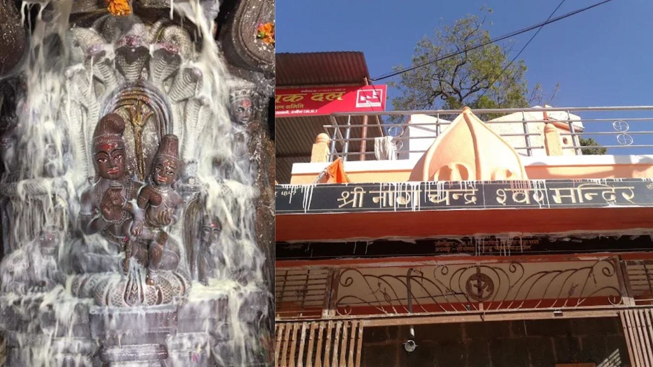 ભારતમાં ભગવાન શિવના અનેક અનોખા મંદિરો આવેલા છે. આ મંદિરોમાંથી એક ઉજ્જૈનનું નાગચંદ્રેશ્વર મંદિર પણ છે. આ મંદિર વર્ષમાં માત્ર એક જ વાર નાગપંચમીના દિવસે ખુલે છે અને આ દિવસે મોટી સંખ્યામાં ભક્તો નાગચંદ્રેશ્વર મંદિરમાં આવે છે. આ મંદિર મહાકાલેશ્વર મંદિર પરિસરમાં જ ત્રીજા માળે આવેલું છે. ધાર્મિક માન્યતાઓ અનુસાર, આ મંદિરમાં ભગવાન શિવ અને નાગ દેવતાના દર્શન માત્રથી ભક્તોની મનોકામનાઓ પૂરી થાય છે.