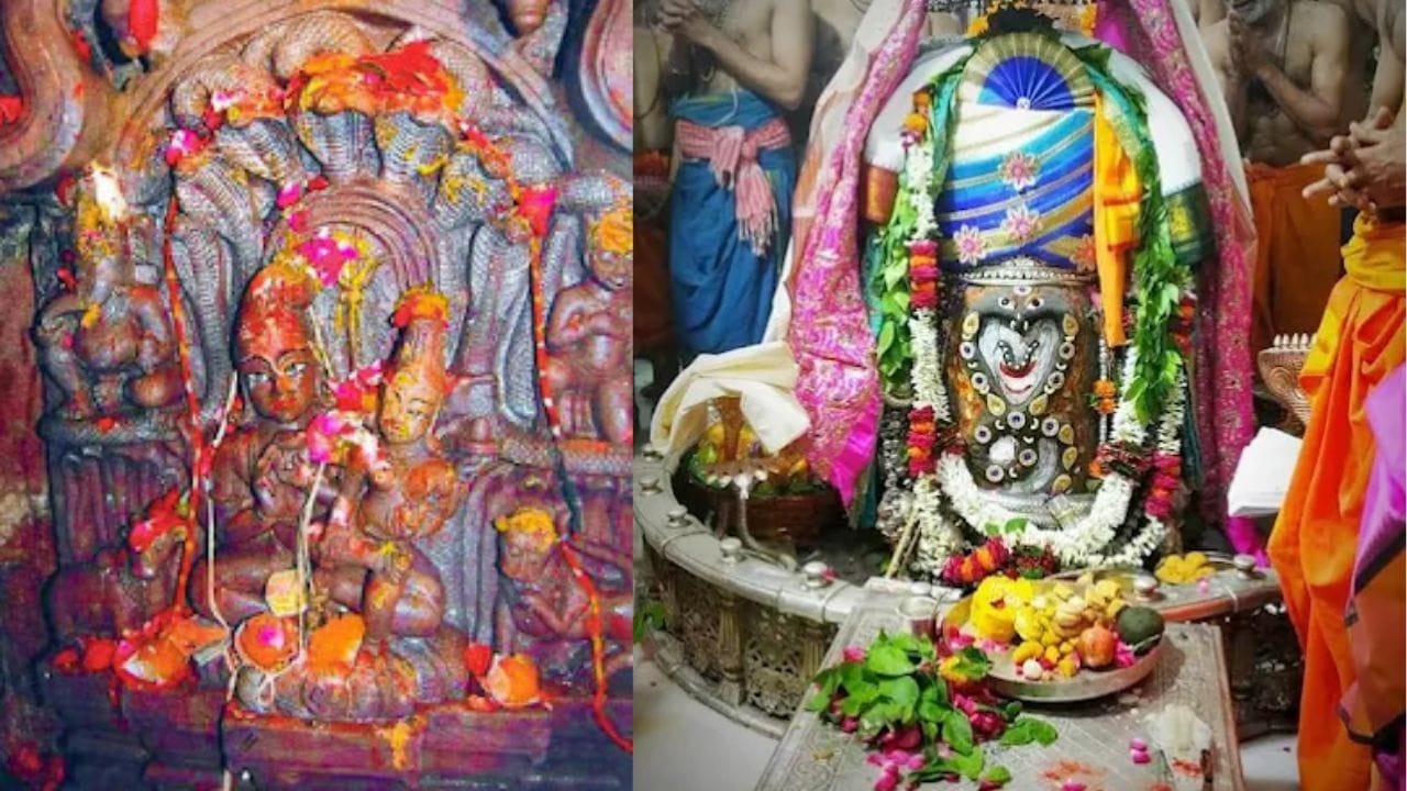 નાગચંદ્રેશ્વર મંદિરની ખાસ વાતો : ઉજ્જૈનમાં આવેલા નાગચંદ્રેશ્વર મંદિરમાં ભગવાન શિવની સાથે માતા પાર્વતી અને ભગવાન શિવની દુર્લભ પ્રતિમા છે. એવું માનવામાં આવે છે કે નાગોના રાજા તક્ષક આજે પણ આ મંદિરમાં અદ્રશ્ય રૂપે રહે છે. તમને જણાવી દઈએ કે તક્ષક નાગથી પ્રસન્ન થઈને ભગવાન શિવે તેમને અમરત્વ અને પોતાની સમીપ રહેવાનું વરદાન આપ્યું હતું. તક્ષક નાગ આ નાગચંદ્રેશ્વર મંદિરમાં ભગવાન શિવના ધ્યાનમાં લીન રહે છે. તક્ષક નાગના ધ્યાનમાં કોઈ વિઘ્ન ન પડે તે માટે વર્ષના 364 દિવસ નાગચંદ્રેશ્વર મંદિર બંધ રહે છે અને શ્રાવણ મહિનામાં માત્ર નાગપંચમીના દિવસે જ તેને ભક્તોના દર્શન માટે ખોલવામાં આવે છે.