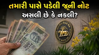 100 રુપિયાની જૂની નોટ પણ હોઈ શકે છે નકલી ! જો તમારી પાસે હોય તો આ રીતે કરી લેજો ચેક