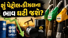 OPEC+ વધારશે તેલ ઉત્પાદન! શું હવે સસ્તું થશે પેટ્રોલ-ડીઝલ?