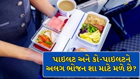 પાઇલટ અને કો-પાઇલટને કેમ ક્યારેય નથી અપાતું એકસરખું ભોજન? જાણો કારણ