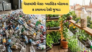 વેસ્ટમાંથી બેસ્ટ: નકામી પ્લાસ્ટિક બોટલથી સરળ બનશે ઘરના 8 અઘરા કામ, જાણો શ્રેષ્ઠ રીસાઇક્લિંગ હેક્સ