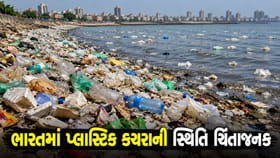 પેકેજિંગથી ટેક્સટાઇલ સુધી, ભારતમાં પ્લાસ્ટિક કચરાનું વધતું સંકટ !