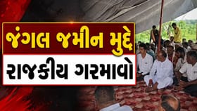 જંગલની જમીન ખેડાણ મુદ્દે મનસુખ વસાવા મેદાને
