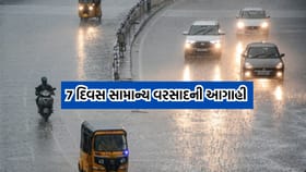 રાજ્યમાં હજુ સાત દિવસ વરસાદી માહોલ રહેવાની હવામાન વિભાગની આગાહી