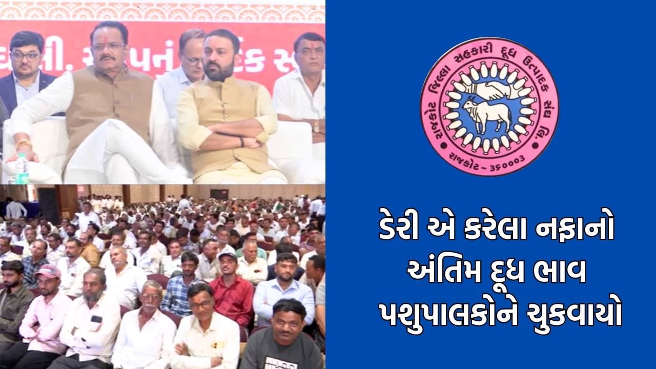 રાજકોટ જિલ્લા દૂધ ઉત્પાદક સંઘની મોટી જાહેરાત, 52 હજારથી વધુ પશુપાલકોના ખાતામાં ₹ 75 કરોડ જમા કર્યા- Video રાજકોટ જિલ્લા દૂધ ઉત્પાદક સંઘની મોટી જાહેરાત, 52 હજારથી વધુ પશુપાલકોના ખાતામાં ₹ 75 કરોડ જમા કર્યા- Video