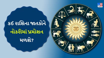કોઈ મહત્વનો નિર્ણય ન લેવો, ઉપરી અધિકારીઓ તમારાથી ખૂબ ખુશ થશે