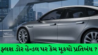 ચીનમાં ટેસ્લા સહિત 9 કંપનીઓની 43 લાખ કાર રિકોલ, ફ્લશ ડોર હેન્ડલ પર 2027થી પ્રતિબંધ, ભારતમાં નિયમો સામે મોટા સવાલો