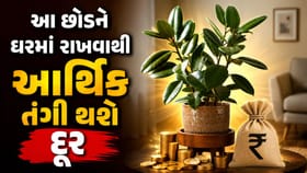 Vastu Tips: આ લીલાછમ છોડને ઘરમાં રાખવાથી આર્થિક તંગી થશે દૂર