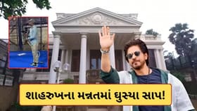 OMG! શાહરૂખ ખાનના મન્નતમાં ઘૂસ્યા 8 ફૂટ લાંબા 2 સાપ,વીડિયો આવ્યો સામે