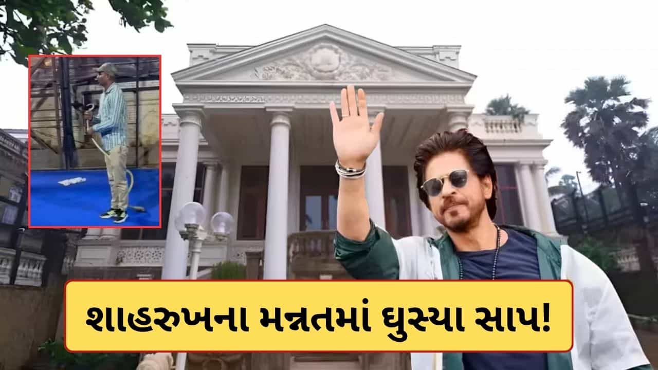 OMG! શાહરૂખ ખાનના ‘મન્નત’માં ઘૂસ્યા 8 ફૂટ લાંબા 2 સાપ, રેસ્ક્યૂ ટીમે સુરક્ષિત રીતે બહાર કાઢ્યો