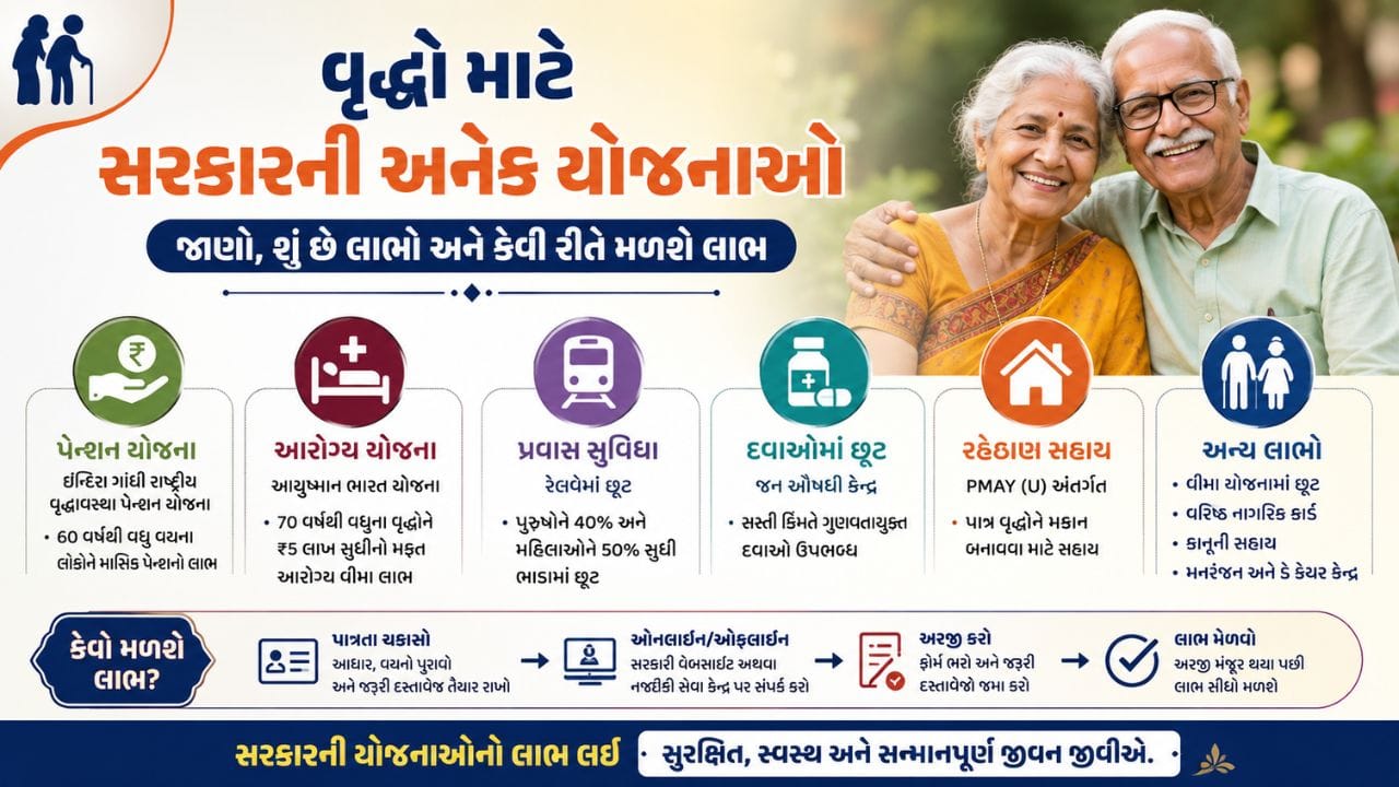 World Senior Citizens Day: ખોરાકથી લઈને સારવાર સુધી, દેશમાં વૃદ્ધો માટે કેટલી યોજનાઓ છે અને કયા લાભો છે? જાણો