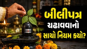 માન્યતા મુજબ શિવલિંગ પર કેટલા બીલીપત્ર ચઢાવવાથી મહાદેવ થાય છે પ્રસન્ન!