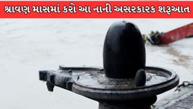 પવિત્ર શ્રાવણ માસમાં કરો આ 4 નાની અસરકારક શરૂઆત, મળશે આંતરિક શાંતિ !