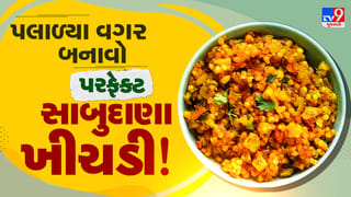 Shravan Special Recipe : ઉપવાસની સ્પેશિયલ ટ્રિક, પલાળ્યા વગર બનાવો પરફેક્ટ સાબુદાણા ખીચડી