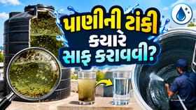 પાણીની ટાંકી ક્યારે સાફ કરવી જોઈએ?