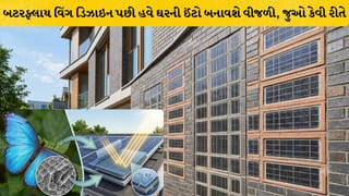 Solar Brick Technology: હવે ઘરની દીવાલો બનાવશે વીજળી, સોલર બ્રિક ચલાવશે AC અને ફ્રિજ, જૂના મકાનો માટે પણ સફળ છે આ નવી ટેકનોલોજી