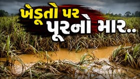 દક્ષિણ ગુજરાતમાં પૂરના કહેરમાં ખેડૂતોના પાકને ભારે નુકસાન, જુઓ Video
