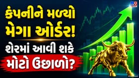 2,35,524 શેરહોલ્ડર ધરાવતી આ ભારતીય ટેક્નોલોજી કંપનીને મળ્યો મોટો ઓર્ડર