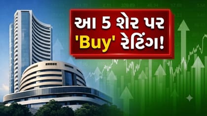 આ 5 Stock તમારા પોર્ટફોલિયોમાં છે કે નહીં?