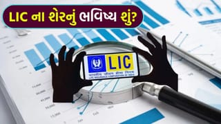 LIC ના શેરમાં હવે શું કરવું? Buy Sell કે Hold? પહેલા નવા ટાર્ગેટ જાણી લો, પછી નક્કી કરો