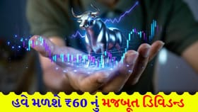 શેરધારકોને પ્રતિ શેર 60 રૂપિયાનું ફાઈનલ ડિવિડન્ડ મળશે