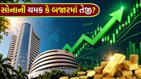 રોકાણકારો માટે 'મોટી ખબર'! Nifty Gold Ratio ના એક સંકેતથી 'વધી હલચલ'