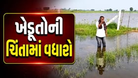 વરસાદના કારણે ખેડૂતોની ચિંતામાં વધારો, કિશાન સંઘનો ગ્રાઉન્ડ સર્વે