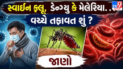 સ્વાઇન ફ્લૂ, ડેન્ગ્યુ કે મેલેરિયા? જાણો ત્રણેય બીમારી વચ્ચેનો તફાવત