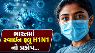 Breaking News : દિલ્હી-NCR માં સ્વાઇન ફ્લૂ H1N1 નો પ્રકોપ, જાણો તેના લક્ષણો, બચાવ અને સાવચેતીના પગલાં, જુઓ Video