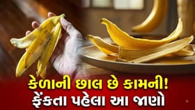 કેળાની છાલ કચરામાં ફેંકતા પહેલાં આ જાણી લો, નહીંતર પાછળથી પસ્તાવો થશે