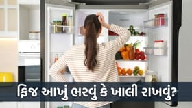 ખાલી કે આખું ભરેલું? કઈ સ્થિતિમાં ફ્રિજ વધુ વીજળી વાપરે છે?