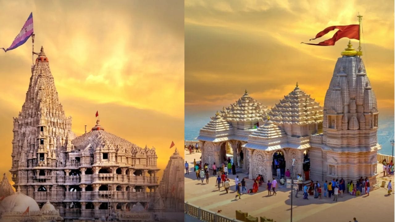 પોળો ફોરેસ્ટ જંગલ, પ્રાચીન મંદિરો અને ટ્રેકિંગ માટે બેસ્ટ છે. જો તમને કુદરતી વાતાવરણમાં ફરવાનો પ્લાન બનાવી રહ્યા છો. તો તમે જૂનાગઢ અથવા તો સાપુતારાનો પ્લાન પણ બનાવી શકો છો.