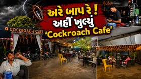 અરે બાપ રે! હવે ખુલ્યું 'Cockroach Cafe', જુઓ Viral Video