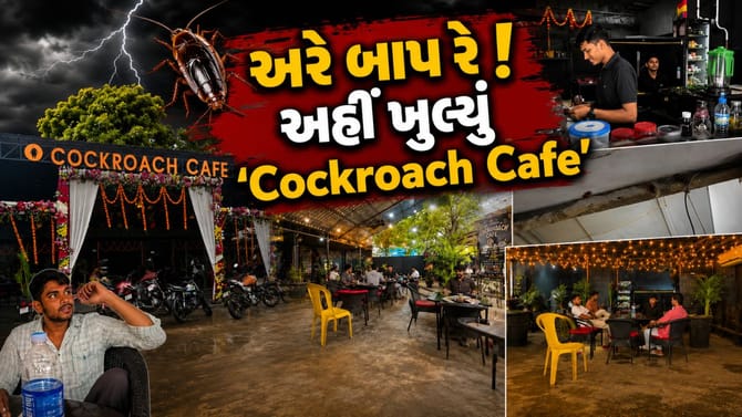 અરે બાપ રે! હવે ખુલ્યું 'Cockroach Cafe', જુઓ Viral Video