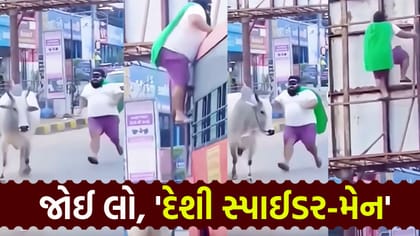 દેશી સ્પાઈડર-મેનની રમુજી હરકતોએ ઈન્ટરનેટ પર મચાવી ધમાલ