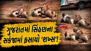 Trending Video: 30 મિનિટ… સાક્ષાત મોતના મુખમાં! ગુજરાતમાં સિંહણના સકંજામાં ફસાયો ‘શખ્સ’, આ રીતે બચાવ્યો ‘પોતાનો જીવ’