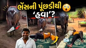 એન્જિનિયરો પણ દંગ! ગરમીથી બચવા માટે વ્યક્તિએ શોધ્યો 'દેશી જુગાડ'