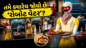 ગરમાગરમ પરોઠા પીરસવા આવ્યો 'વેટર 2.0', વીડિયો થયો 'Viral'
