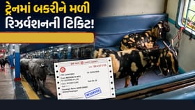બકરીઓને મળી રિઝર્વેશનની ટિકિટ, જુઓ Video