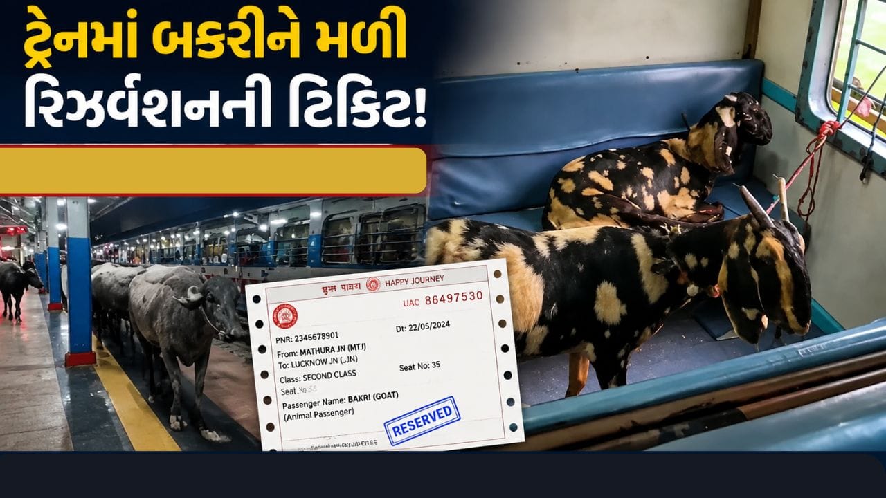Trending Video : પ્લેટફોર્મ પર મુસાફરોની જગ્યાએ ભેંસો આવી અને બકરીઓ ટ્રેનમાં બેસી ગઈ જુઓ Video