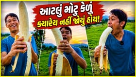 ઈંચમાં નહીં ફૂટમાં મપાય છે આ કેળું, વીડિયો જોઈ લોકો ચોંક્યા