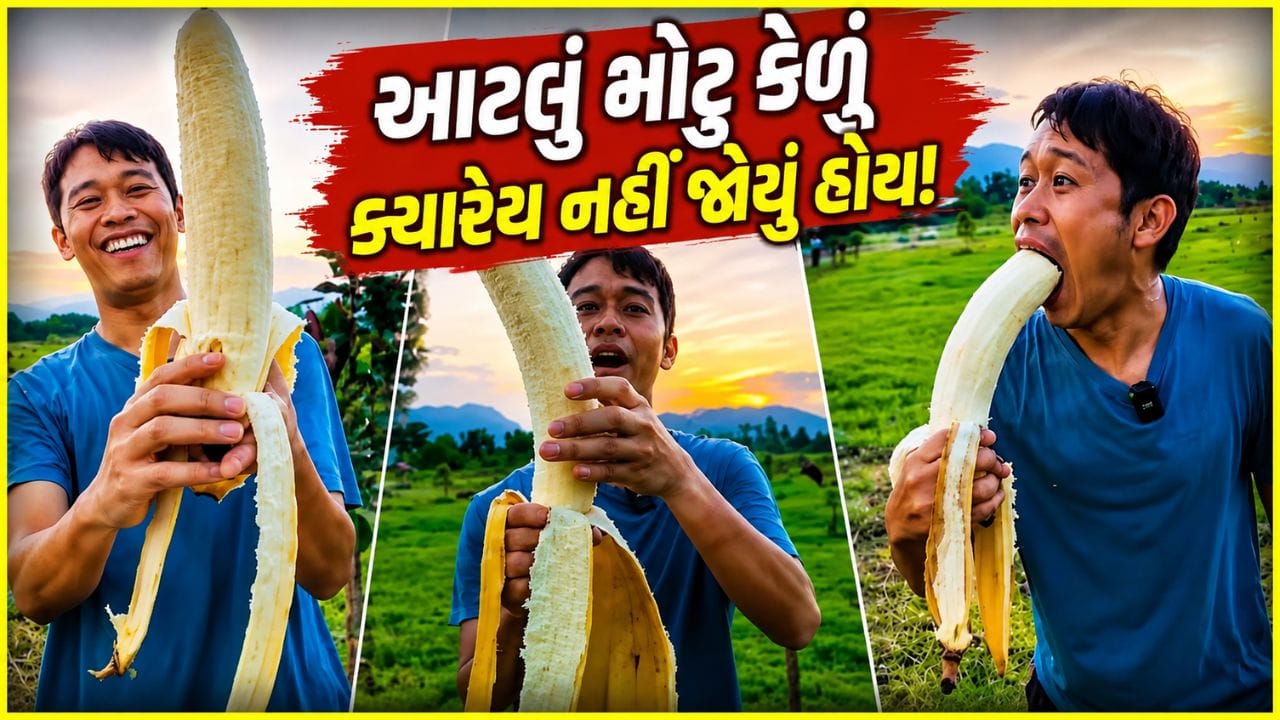 Trending Video: દુનિયાનું સૌથી 'મોટું કેળું' ! ઈંચમાં નહીં, ફૂટમાં મપાય છે... સાઈઝ જોઈને આંખો ખુલ્લી રહી જશે