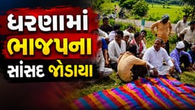 સાગબારામાં આદિવાસી ખેડૂતોનો જમીન અધિકાર માટે ધરણા...